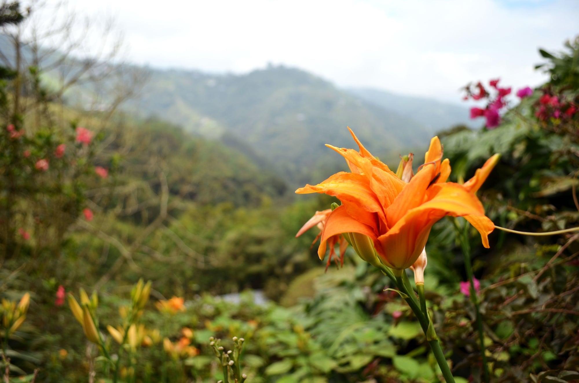 Eco Lodge La Juanita La Linda Dış mekan fotoğraf