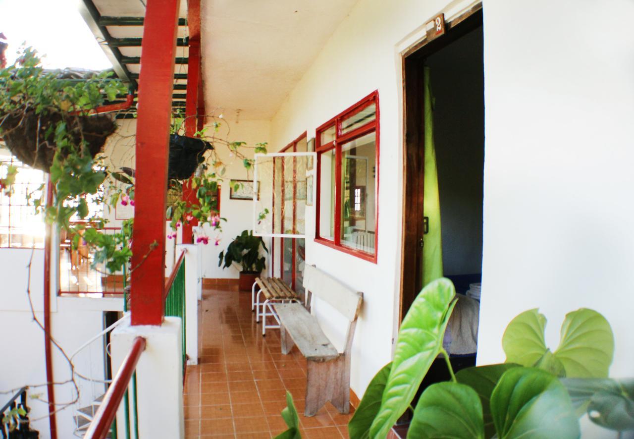 Eco Lodge La Juanita La Linda Oda fotoğraf