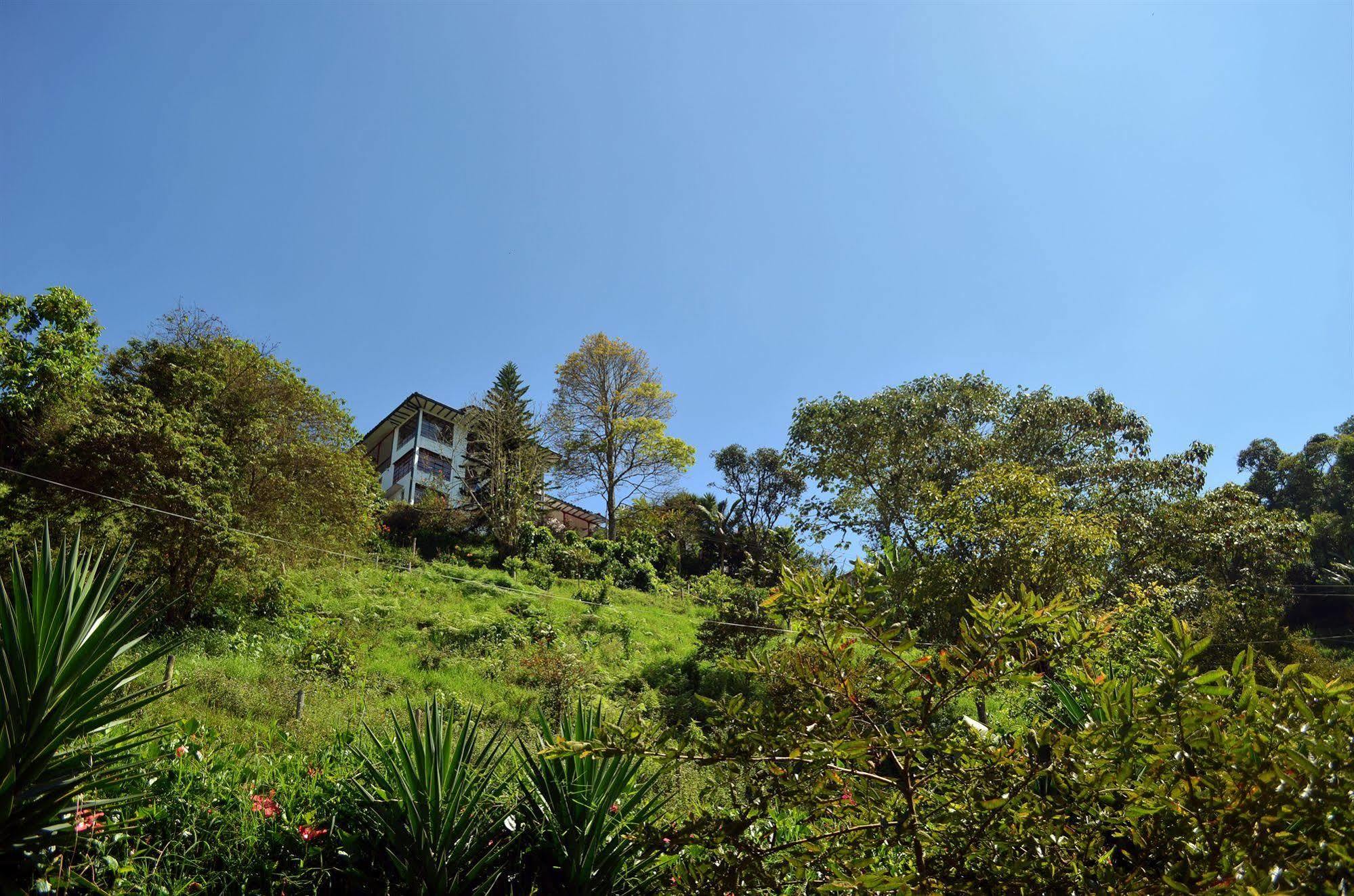 Eco Lodge La Juanita La Linda Dış mekan fotoğraf