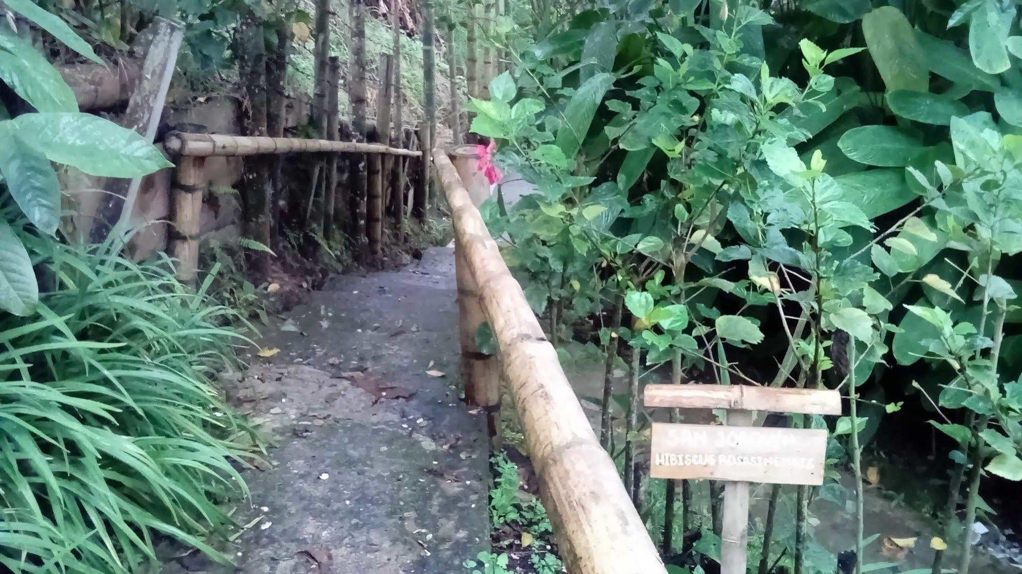 Eco Lodge La Juanita La Linda Dış mekan fotoğraf